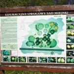 Sad edukacyjny w Rzeszowie powoli rozkwita (zdjęcia) - Polskie Radio Rzeszów