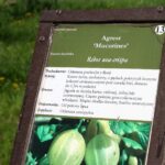 Sad edukacyjny w Rzeszowie powoli rozkwita (zdjęcia) - Polskie Radio Rzeszów