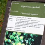 Sad edukacyjny w Rzeszowie powoli rozkwita (zdjęcia) - Polskie Radio Rzeszów