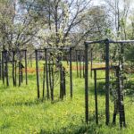 Sad edukacyjny w Rzeszowie powoli rozkwita (zdjęcia) - Polskie Radio Rzeszów