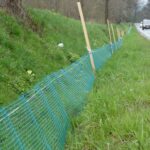 Kończy się tegoroczna akcja przenoszenia żab 8 - Polskie Radio Rzeszów Kończy się tegoroczna akcja przenoszenia żab - Polskie Radio Rzeszów