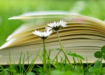 Promocja książki Katarzyny Stoparczyk