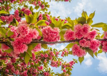 Majówka z&nbsp;Radiem Rzeszów