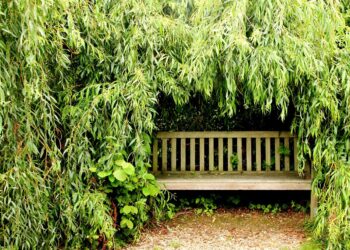 Teren starego dworca w&nbsp;Ropczycach zamieni się w&nbsp;zielony plac