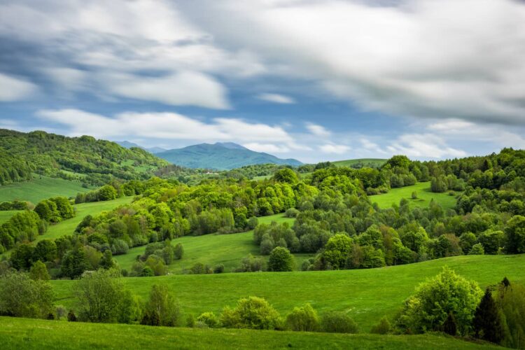Bieszczady. Wiosna w dolinie, śnieg na szczytach