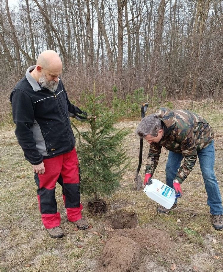 W Tarnobrzegu powstaje "Choinkowa zagroda" 1 - Polskie Radio Rzeszów W Tarnobrzegu powstaje „Choinkowa zagroda”