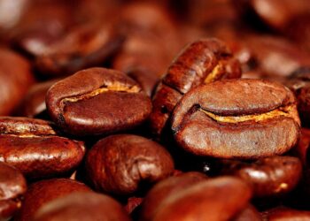 Dzień Otwarty Klasztornej Palarni Kawy