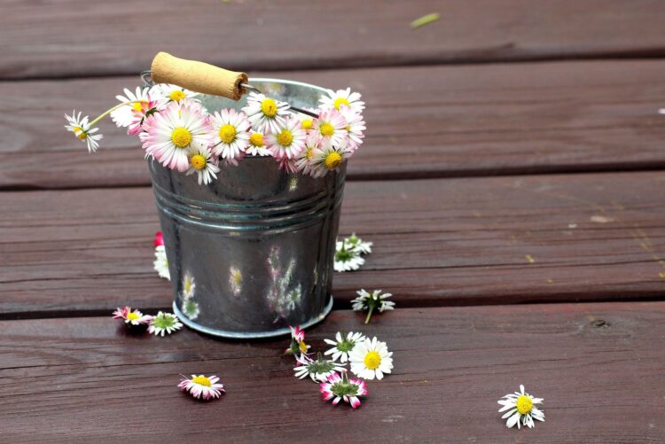 Powtórka z historii i majówkowe plany