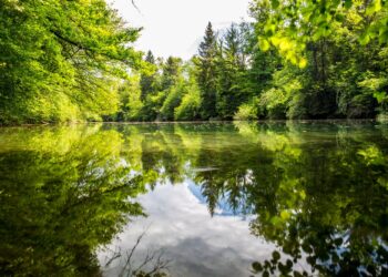 Rozpoczęcie działań ekologicznych nad&nbsp;stawem Skrzynczyna