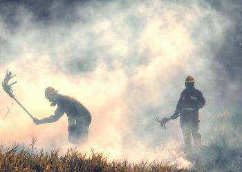 78-latka odpowie za&nbsp;pożar traw