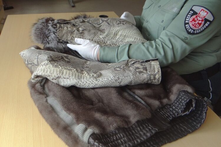 Ubrania ze skóry pytona. Celnicy udaremnili nielegalny przewóz