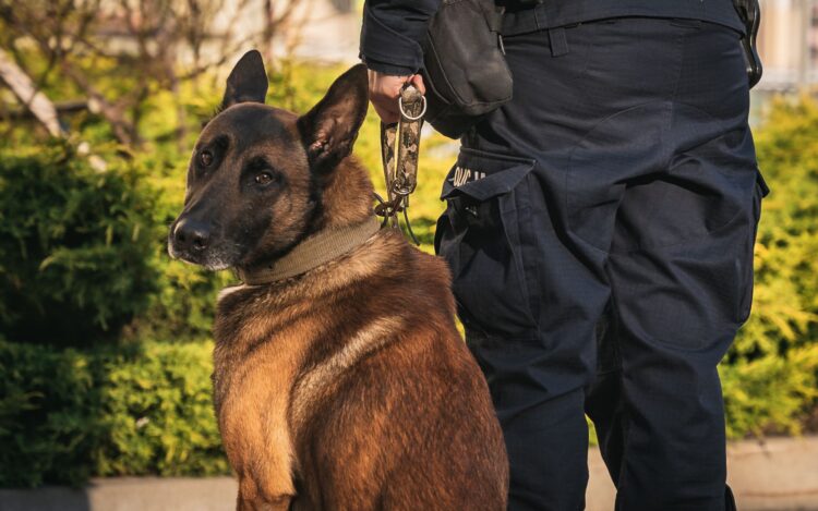 Policjanci z Przeworska zabezpieczyli 5 kg narkotyków 1 - Polskie Radio Rzeszów Policjanci z Przeworska zabezpieczyli 5 kg narkotyków