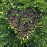 Wiosenne porządki i nasadzenia kwiatów w Rzeszowie 17 - Polskie Radio Rzeszów Wiosenne porządki i nasadzenia kwiatów w Rzeszowie - Polskie Radio Rzeszów