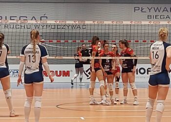 W&nbsp;I&nbsp;lidze siatkarek