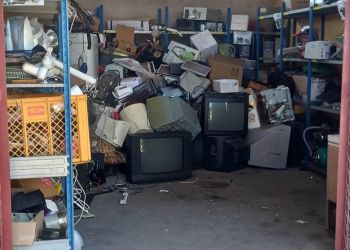 Cebulki kwiatów za&nbsp;odpady w&nbsp;Stalowej Woli