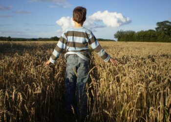 Dofinansowanie dla rolników z&nbsp;Podkarpacia w&nbsp;ramach ochrony wód