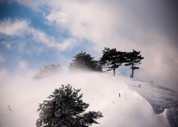 Na&nbsp;południu Podkarpacia będzie intensywnie padał śnieg
