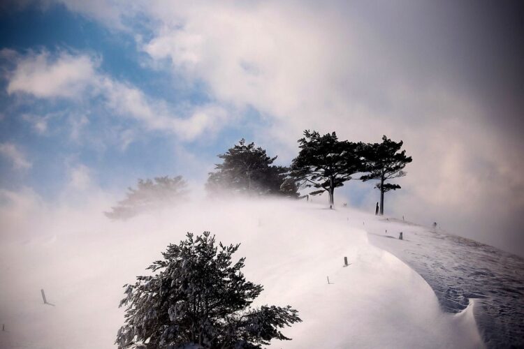 Na południu Podkarpacia będzie intensywnie padał śnieg