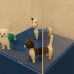 Powrót do przeszłości, czyli zabawki naszego dzieciństwa (zdjęcia) 15 - Polskie Radio Rzeszów Powrót do przeszłości, czyli zabawki naszego dzieciństwa (zdjęcia) - Polskie Radio Rzeszów