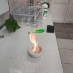 Innowacyjny projekt ekologiczny uczennic jarosławskiego Kopernika 11 - Polskie Radio Rzeszów Innowacyjny projekt ekologiczny uczennic jarosławskiego Kopernika - Polskie Radio Rzeszów