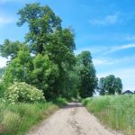 Surochów. Tutaj urodził się Aleksander hrabia Fredro 8 - Polskie Radio Rzeszów Surochów. Tutaj urodził się Aleksander hrabia Fredro - Polskie Radio Rzeszów