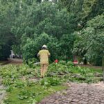 Podtopienia dróg, połamane drzewa w regionie po przejściu ulewy 2 - Polskie Radio Rzeszów Podtopienia dróg, połamane drzewa w regionie po przejściu ulewy - Polskie Radio Rzeszów