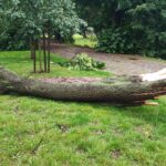 Podtopienia dróg, połamane drzewa w regionie po przejściu ulewy 3 - Polskie Radio Rzeszów Podtopienia dróg, połamane drzewa w regionie po przejściu ulewy - Polskie Radio Rzeszów