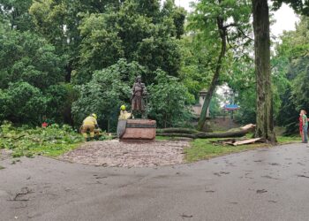 Podtopienia dróg, połamane drzewa w regionie po przejściu ulewy