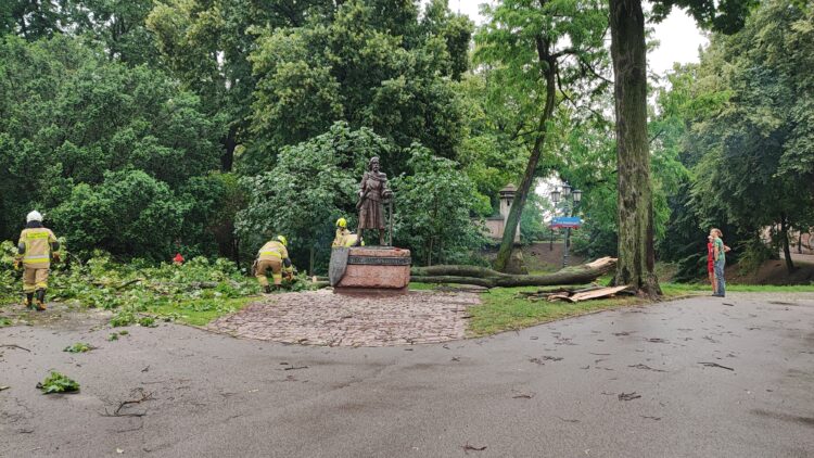 Podtopienia dróg, połamane drzewa w regionie po przejściu ulewy 1 - Polskie Radio Rzeszów Podtopienia dróg, połamane drzewa w regionie po przejściu ulewy