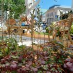 Radio Biwak 26.06 - altana Polskiego Radia Rzeszów (zdjęcia) 9 - Polskie Radio Rzeszów Radio Biwak 26.06 - altana Polskiego Radia Rzeszów (zdjęcia) - Polskie Radio Rzeszów