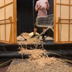 Słuchowisko "Wolność w klatce". Nagrania w Polskim Radiu Rzeszów (zdjęcia) - Polskie Radio Rzeszów