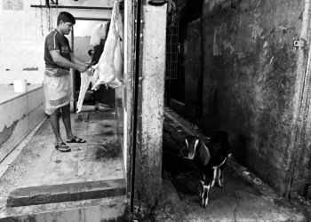 Bangladesz w&nbsp;Zamku Tarnowskich