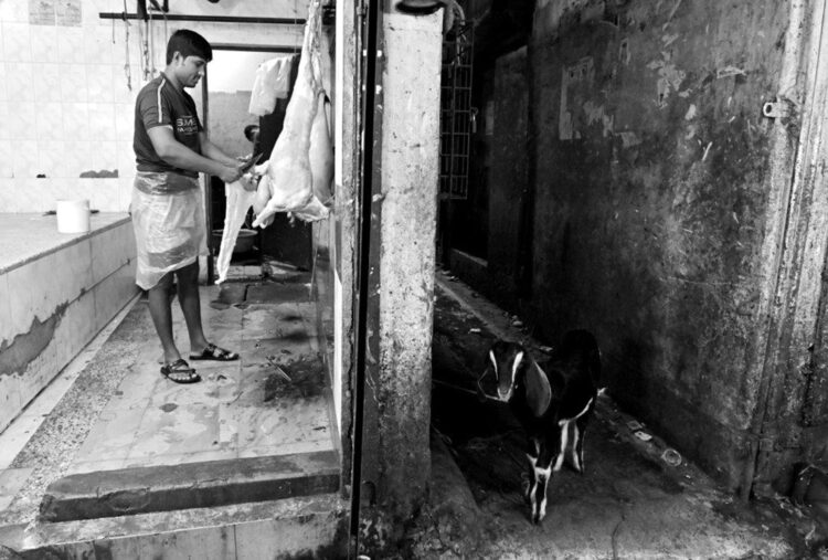 Bangladesz w Zamku Tarnowskich