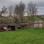 Filmowe Podkarpacie! Wizyta studyjna w poszukiwaniu filmowych plenerów 2 - Polskie Radio Rzeszów Filmowe Podkarpacie! Wizyta studyjna w poszukiwaniu filmowych plenerów - Polskie Radio Rzeszów