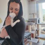 Porzucone, ranne i chore koty z Mielca i okolic potrzebują nowego domu 12 - Polskie Radio Rzeszów Porzucone, ranne i chore koty z Mielca i okolic potrzebują nowego domu - Polskie Radio Rzeszów