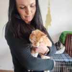 Porzucone, ranne i chore koty z Mielca i okolic potrzebują nowego domu 18 - Polskie Radio Rzeszów Porzucone, ranne i chore koty z Mielca i okolic potrzebują nowego domu - Polskie Radio Rzeszów