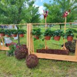 Prezentacja poletek doświadczalnych, czyli Dzień Pola w Boguchwale (zdjęcia) - Polskie Radio Rzeszów