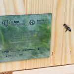 Bank Pszczeli z Rzeszowa pomógł pszczelarzowi z Wrocławia 2 - Polskie Radio Rzeszów Bank Pszczeli z Rzeszowa pomógł pszczelarzowi z Wrocławia - Polskie Radio Rzeszów