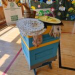 Uczestnicy zachwyceni "Akademią Pszczoły Bohatera" - Polskie Radio Rzeszów