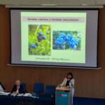 Rośliny zielarskie i żywność funkcjonalna. Konferencja w Krośnie 4 - Polskie Radio Rzeszów Rośliny zielarskie i żywność funkcjonalna. Konferencja w Krośnie - Polskie Radio Rzeszów