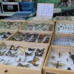 Sobota Pełna Wrażeń. Piknik Nauki Eksploracje 19 - Polskie Radio Rzeszów Sobota Pełna Wrażeń. Piknik Nauki Eksploracje - Polskie Radio Rzeszów