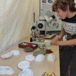 Sobota Pełna Wrażeń. Piknik Nauki Eksploracje 24 - Polskie Radio Rzeszów Sobota Pełna Wrażeń. Piknik Nauki Eksploracje - Polskie Radio Rzeszów