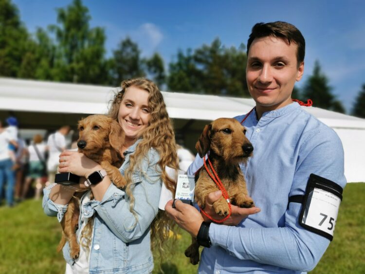 Międzynarodowa wystawa psów rasowych w Głogowie Małopolskim
