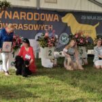 Międzynarodowa wystawa psów rasowych w Głogowie Małopolskim 17 - Polskie Radio Rzeszów Międzynarodowa wystawa psów rasowych w Głogowie Małopolskim - Polskie Radio Rzeszów