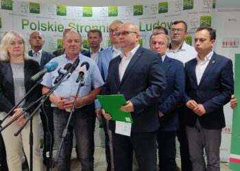 PSL proponuje „dobrowolny ZUS”