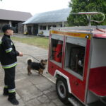 O miniaturowym wozie strażackim i ograniczeniach w prawach jazdy 5 - Polskie Radio Rzeszów O miniaturowym wozie strażackim i ograniczeniach w prawach jazdy - Polskie Radio Rzeszów