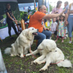 Piknik Rodzinny w Rymanowie-Zdroju (zdjęcia) 22 - Polskie Radio Rzeszów Piknik Rodzinny w Rymanowie-Zdroju (zdjęcia) - Polskie Radio Rzeszów