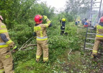 Skutki burz na&nbsp;Podkarpaciu