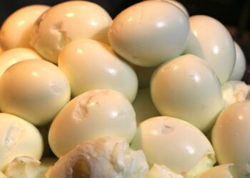 Rośnie liczba osób zarażonych salmonellą w&nbsp;rzeszowskiej restauracji