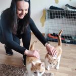 Porzucone, ranne i chore koty z Mielca i okolic potrzebują nowego domu 22 - Polskie Radio Rzeszów Porzucone, ranne i chore koty z Mielca i okolic potrzebują nowego domu - Polskie Radio Rzeszów